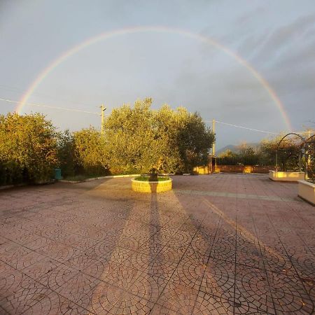 Castel Campagnano Lisandro Wine Resort Apartments Caserta المظهر الخارجي الصورة