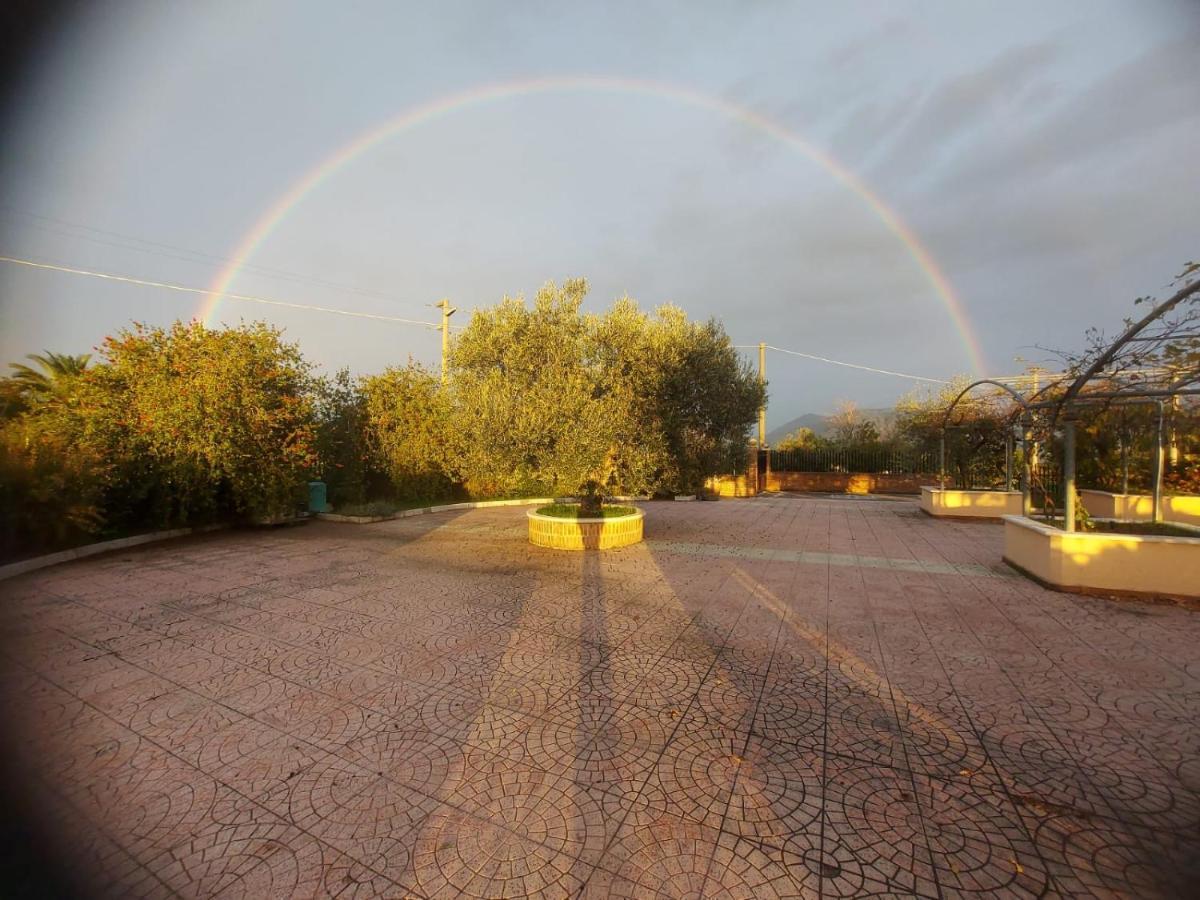 Castel Campagnano Lisandro Wine Resort Apartments Caserta المظهر الخارجي الصورة