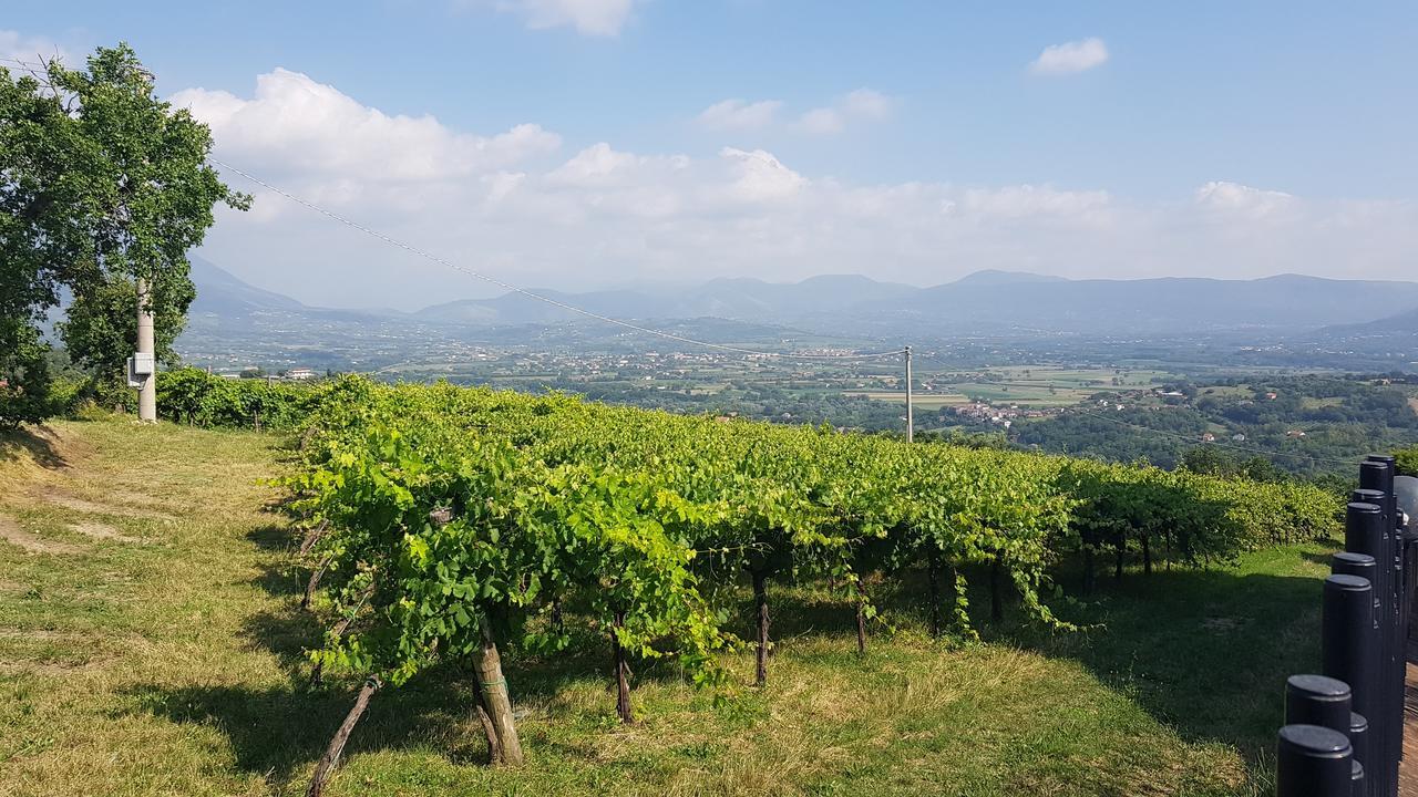 Castel Campagnano Lisandro Wine Resort Apartments Caserta المظهر الخارجي الصورة