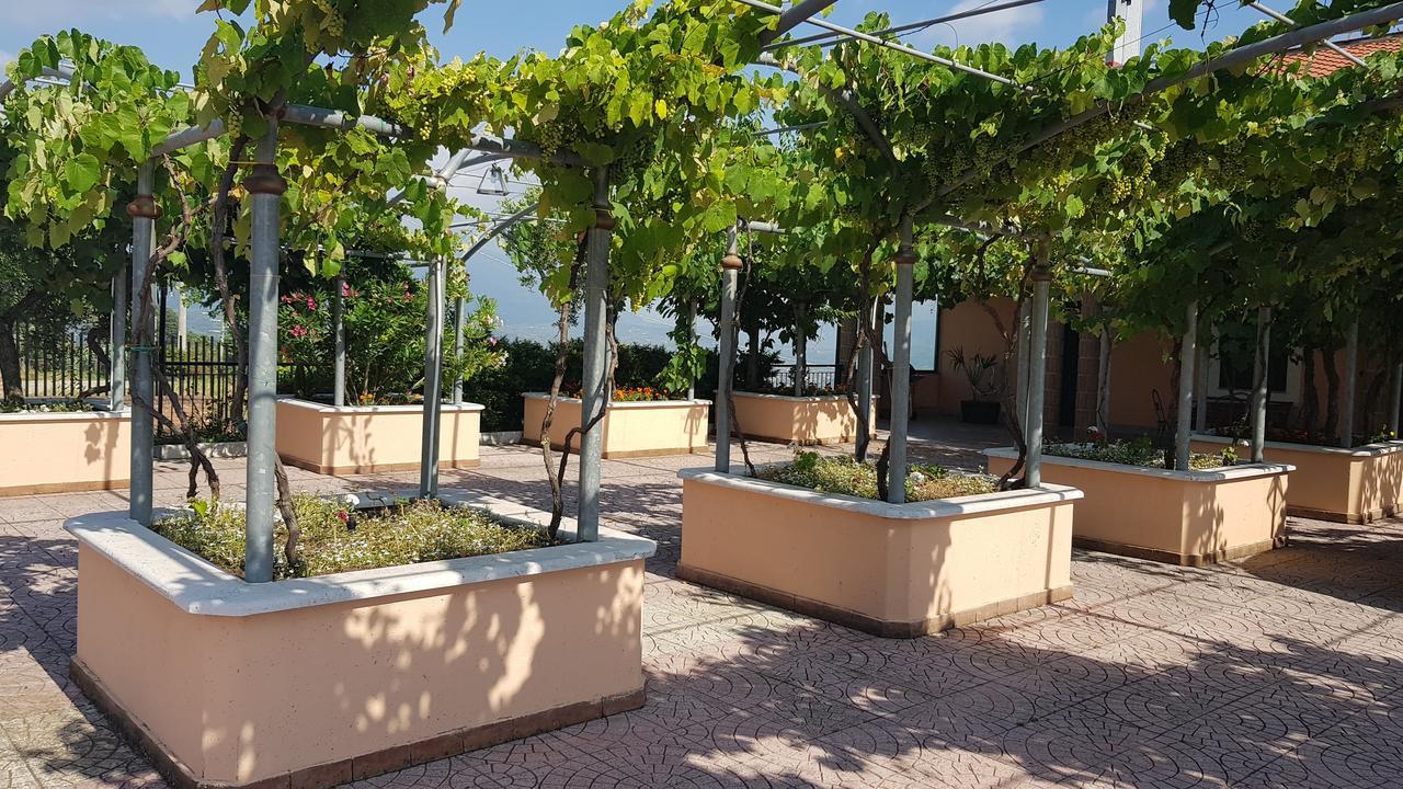 Castel Campagnano Lisandro Wine Resort Apartments Caserta المظهر الخارجي الصورة