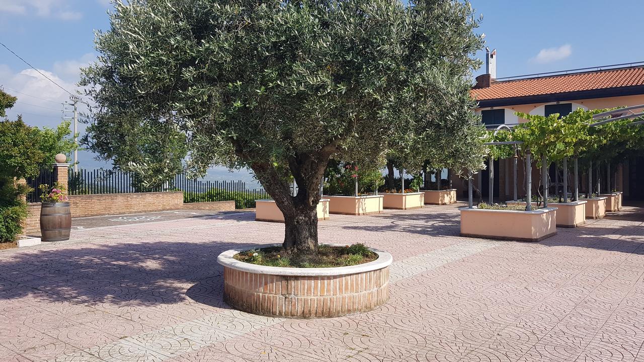 Castel Campagnano Lisandro Wine Resort Apartments Caserta المظهر الخارجي الصورة