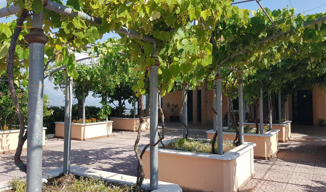 Castel Campagnano Lisandro Wine Resort Apartments Caserta المظهر الخارجي الصورة