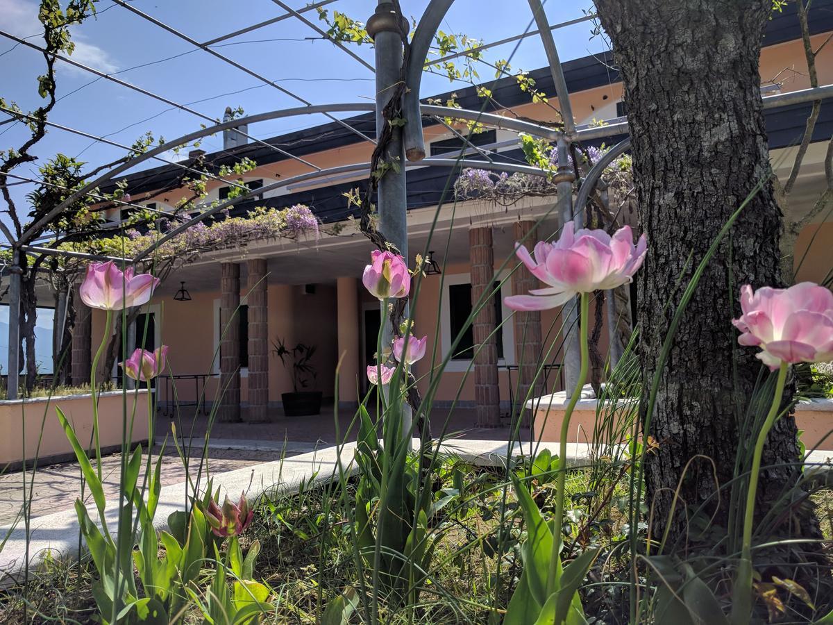 Castel Campagnano Lisandro Wine Resort Apartments Caserta المظهر الخارجي الصورة